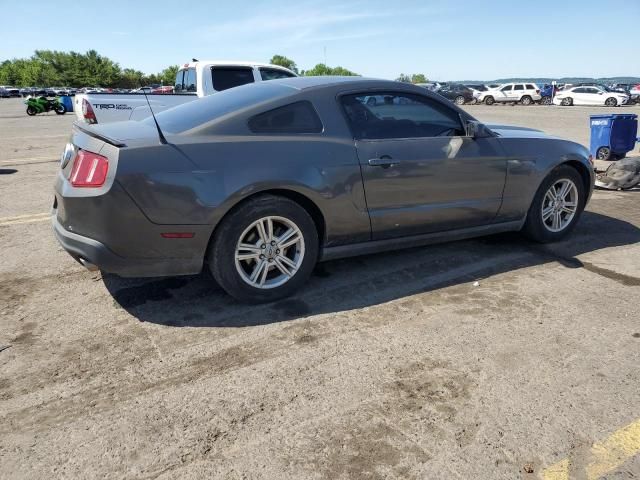 2011 Ford Mustang