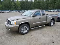 Salvage trucks for sale at Graham, WA auction: 2006 Dodge Dakota SLT