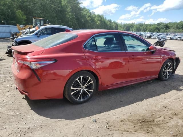 2019 Toyota Camry Hybrid