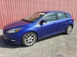 Salvage cars for sale at auction: 2015 Ford Focus SE