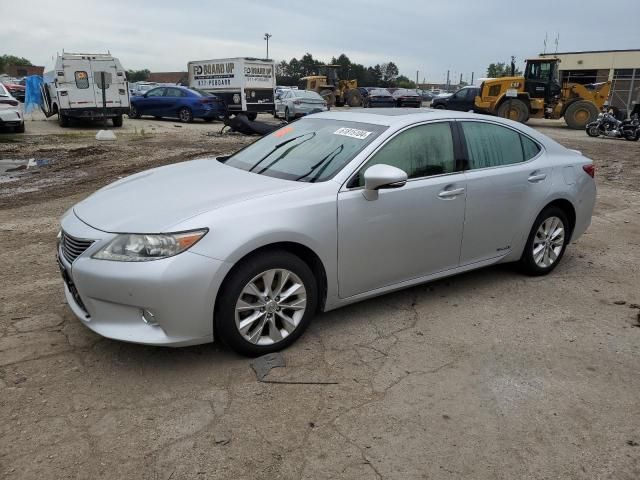 2013 Lexus ES 300H