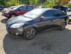 Salvage cars for sale at Cookstown, ON auction: 2014 Ford Focus SE