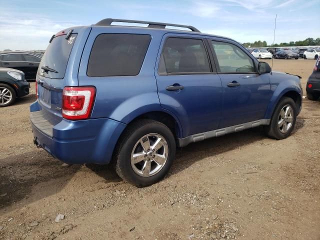 2009 Ford Escape XLT