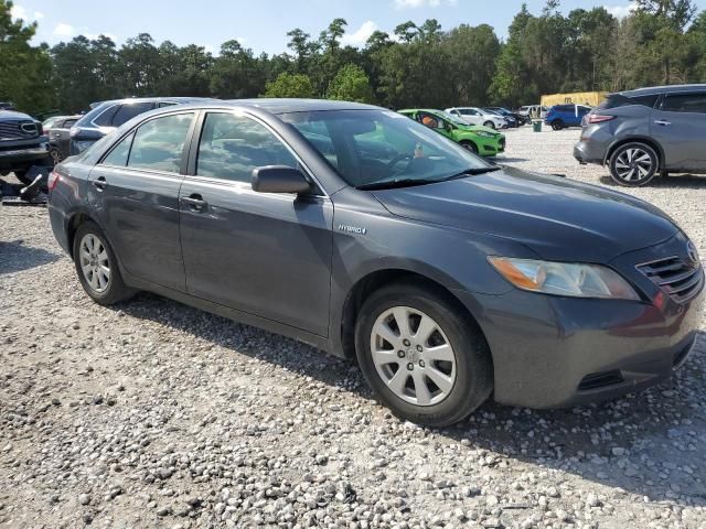 2007 Toyota Camry Hybrid