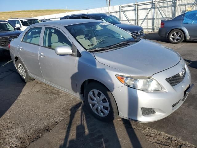 2010 Toyota Corolla Base