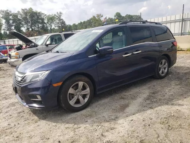 2020 Honda Odyssey EXL