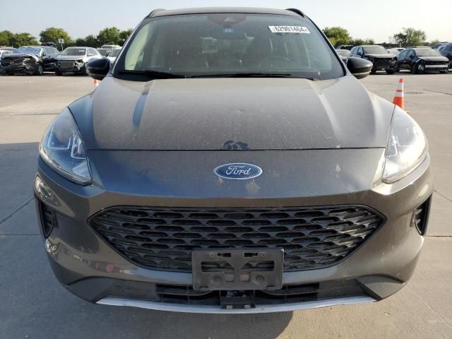 2020 Ford Escape SE Sport