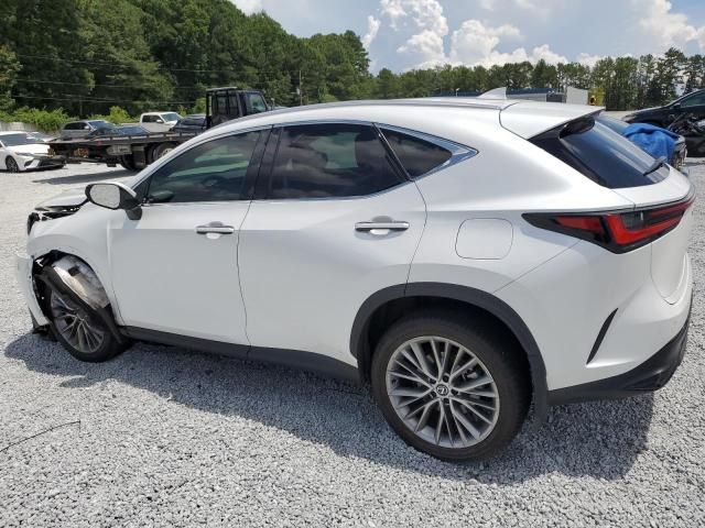 2024 Lexus NX 350 Luxury