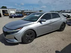 Salvage cars for sale from Copart Harleyville, SC: 2023 Hyundai Elantra SEL