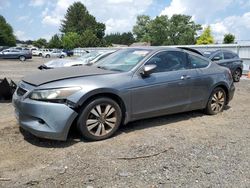 Honda salvage cars for sale: 2008 Honda Accord EXL