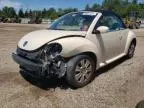 2008 Volkswagen New Beetle Convertible S