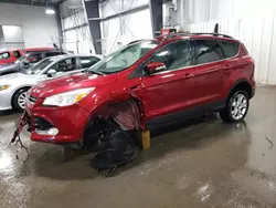 Salvage cars for sale at Ham Lake, MN auction: 2013 Ford Escape SEL