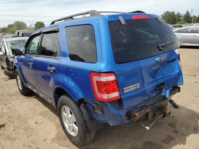 2011 Ford Escape XLT