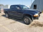 2000 Dodge Dakota Quattro