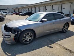 Salvage cars for sale at Louisville, KY auction: 2017 Dodge Charger SXT