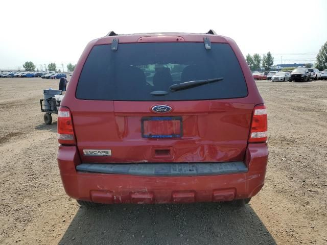 2011 Ford Escape XLT