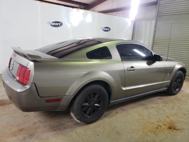 2005 Ford Mustang