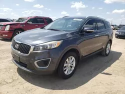 2016 KIA Sorento LX en venta en Amarillo, TX