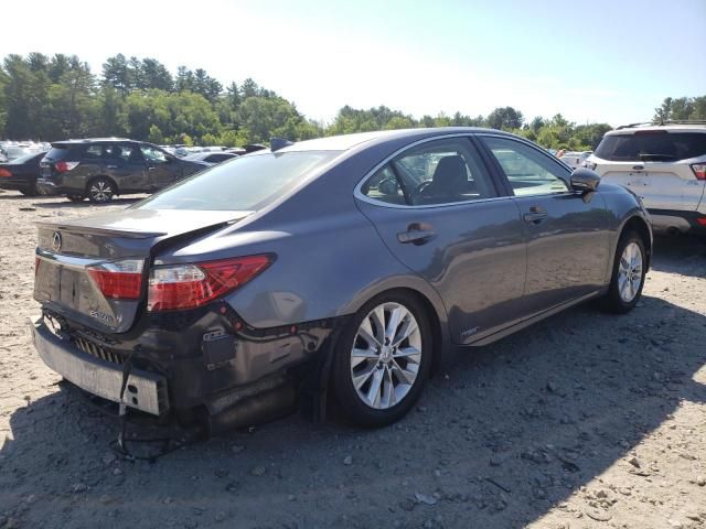 2015 Lexus ES 300H