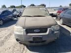 2006 Ford Escape HEV