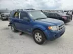 2008 Ford Escape XLS