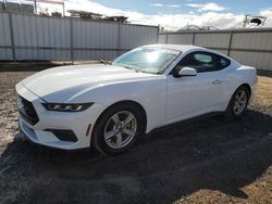 Salvage cars for sale at Kapolei, HI auction: 2024 Ford Mustang