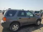 2005 Ford Escape XLT