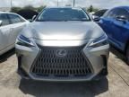 2023 Lexus NX 250