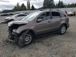 Honda salvage cars for sale: 2010 Honda CR-V EXL