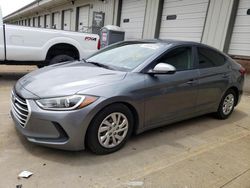 Salvage cars for sale at Louisville, KY auction: 2017 Hyundai Elantra SE