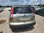 2007 Honda CR-V EXL