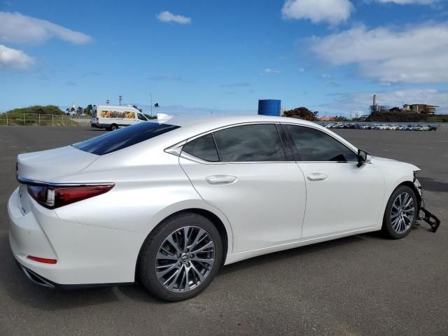 2019 Lexus ES 350