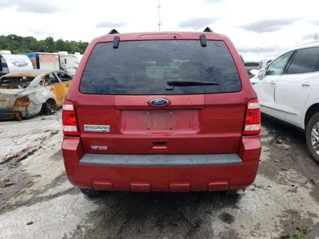 2010 Ford Escape XLT