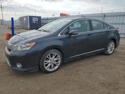 Lexus salvage cars for sale: 2010 Lexus HS 250H