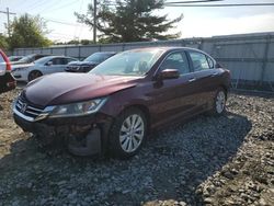 Salvage cars for sale at Windsor, NJ auction: 2015 Honda Accord EXL