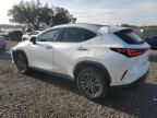 2024 Lexus NX 250 Base