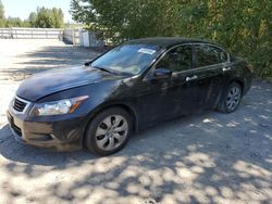 Honda salvage cars for sale: 2008 Honda Accord EXL