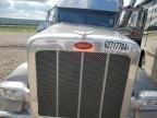 2023 Peterbilt 389