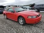 2003 Ford Mustang