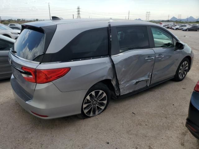 2023 Honda Odyssey EXL