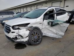 Salvage cars for sale at Louisville, KY auction: 2017 Ford Escape SE