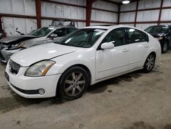 Salvage cars for sale at Seaford, DE auction: 2005 Nissan Maxima SE