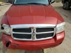 2007 Dodge Dakota SLT