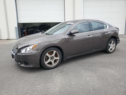 Vehiculos salvage en venta de Copart Ham Lake, MN: 2014 Nissan Maxima S