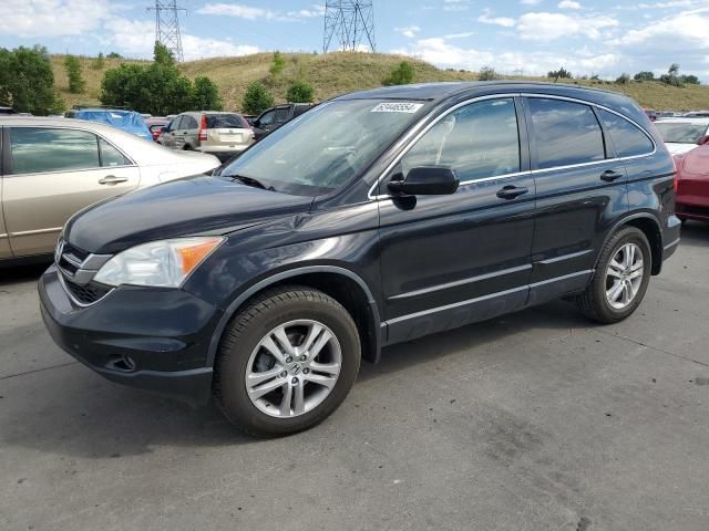 2010 Honda CR-V EXL