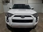 2016 Toyota 4runner SR5/SR5 Premium