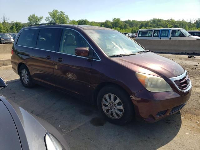 2009 Honda Odyssey EXL