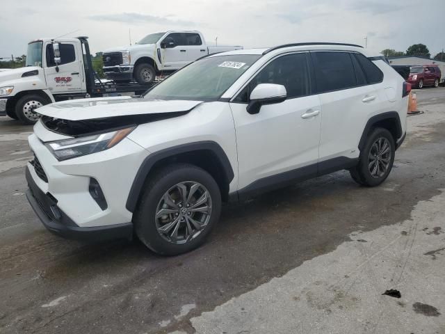 2023 Toyota Rav4 XLE Premium