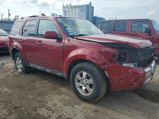 2010 Ford Escape Limited