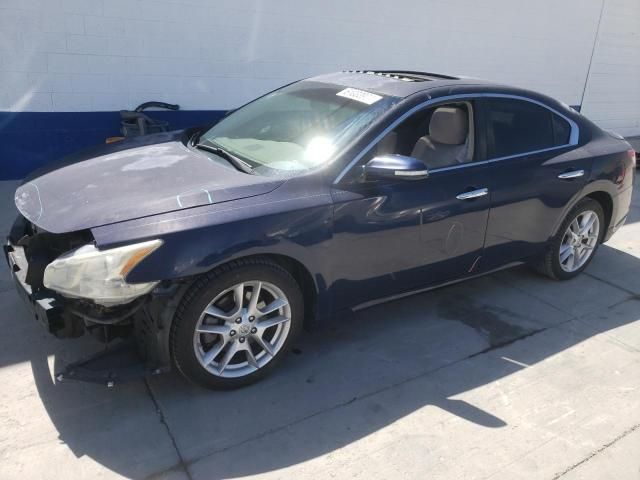 2009 Nissan Maxima S